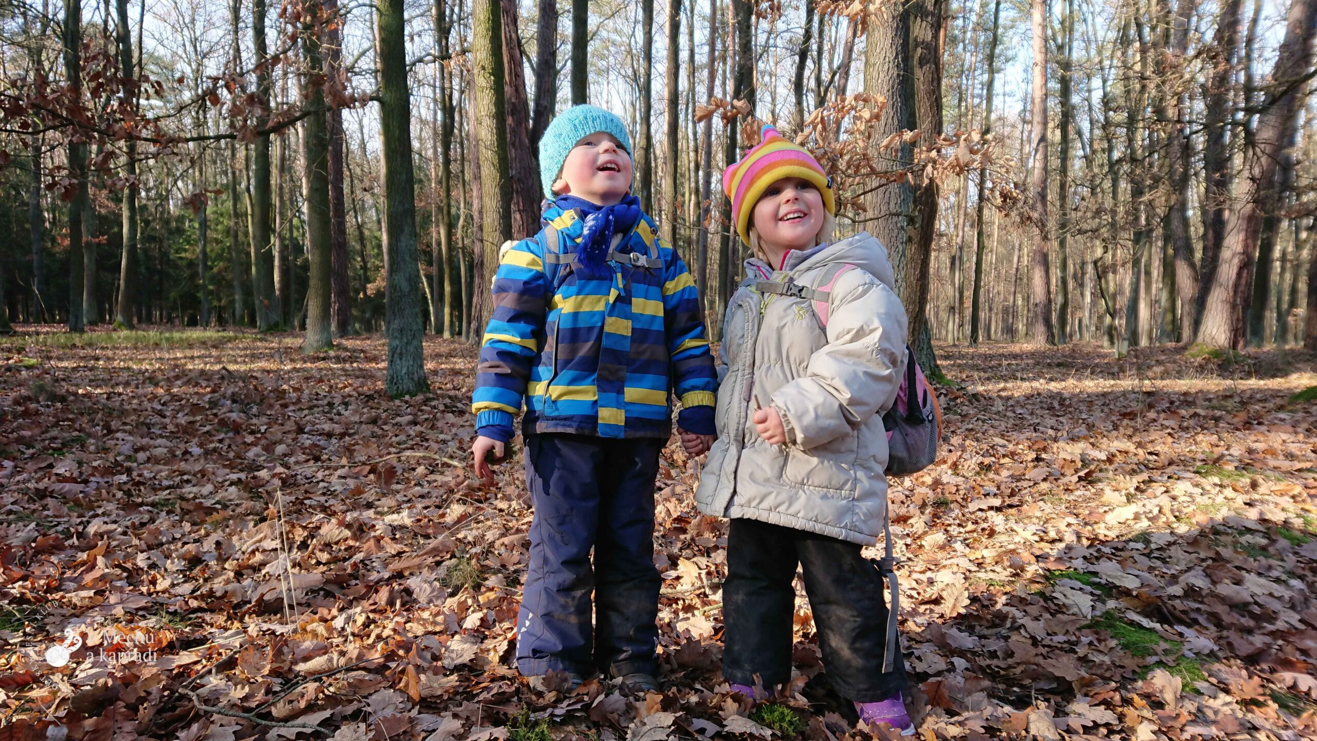 děti v lesní školce